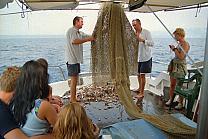 die Mannschaft bei der Arbeit