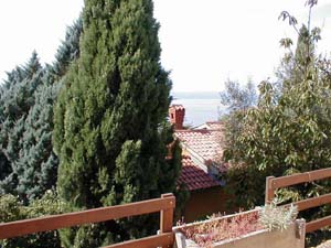 Appartement&nbsp;staragavza1