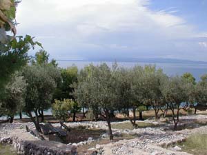 Appartement&nbsp;staragavza5