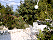 Apartement vila_branka2