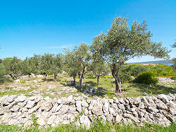 Blick von der Straße von Mali Losinj nach Nerezine - links der Osorscica