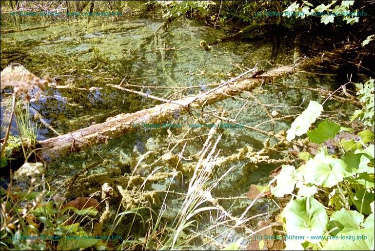 Der Nationalpark Plitvicer Seen in Kroatien